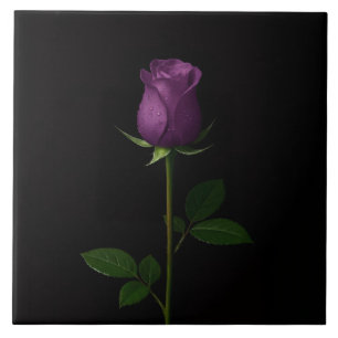 Schwarze 4 Luxe-Fliese mit Königlicher Violetter R Fliese