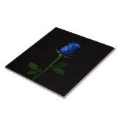 Schwarze 4 Luxe-Fliese mit Midnight Blue Rose Fliese (Seite)