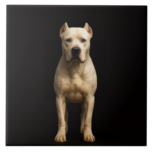 Schwarze 4 Luxe-Fliese mit mutigem Dogo Argentino Fliese (Vorderseite)