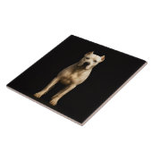 Schwarze 4 Luxe-Fliese mit mutigem Dogo Argentino Fliese (Seite)