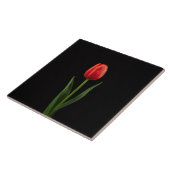 Schwarze 4 Luxe Fliese mit Rubinroter Tulpe (Seite)