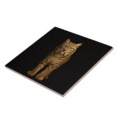 Schwarze 4 Luxe-Fliese mit Silent Lynx Fliese (Seite)