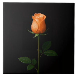 Schwarze 4 Luxe-Fliese mit Sonnenuntergangs-Orange Fliese