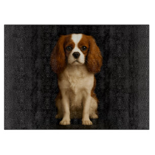 Schwarze 4 Luxe Glasplatte Cavalier Spaniel Schneidebrett