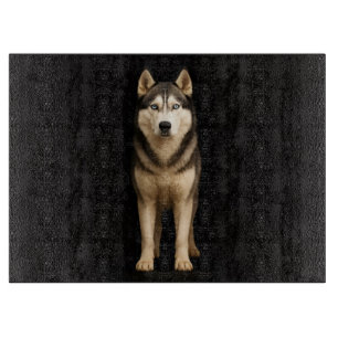 Schwarze 4 Luxe Glasplatte Icy Elite Husky Schneidebrett