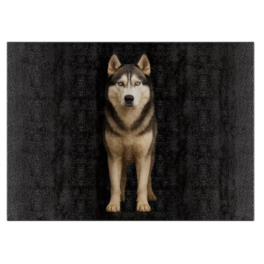 Schwarze 4 Luxe Glasplatte Icy Elite Husky Schneidebrett (Vorderseite)