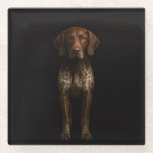 Schwarze 4 Luxe Glasuntersetzer, Deutscher Pointer