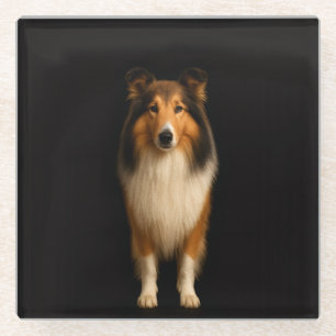 Schwarze 4 Luxe Glasuntersetzer, treuer Collie-Hun Glasuntersetzer