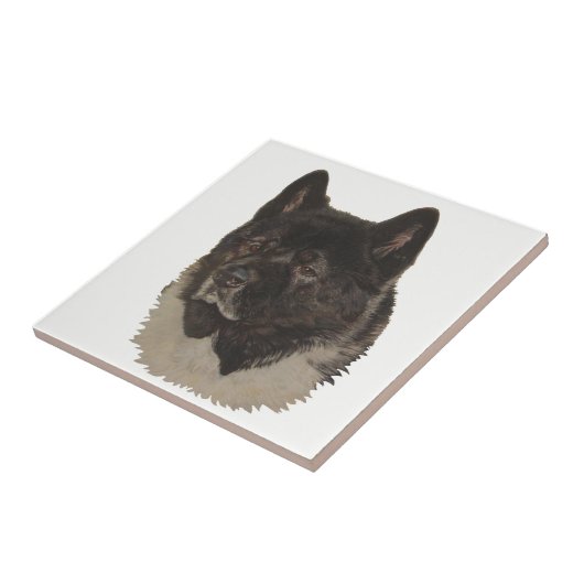 Schwarze Akita mit weißer Brustkorbporträt Fliese (Seite)