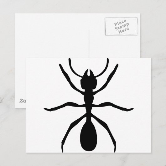 schwarze Ameise Postkarte (Vorne/Hinten)