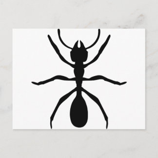 schwarze Ameise Postkarte