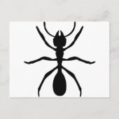 schwarze Ameise Postkarte (Vorderseite)