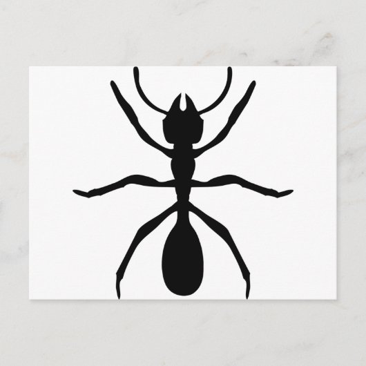 schwarze Ameise Postkarte (Vorderseite)