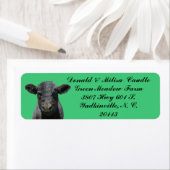 SCHWARZE ANGUS (Insitu)