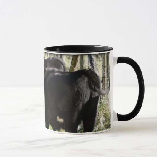 Schwarze Angus-Färsen-Kälber Tasse (Rechts)