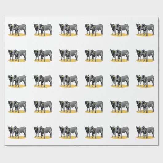 Schwarze Angus-Kälber Geschenkpapier (Flach)