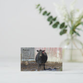 Schwarze Angus-Kuh im Winter Visitenkarte (Stehend Vorderseite)