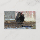 Schwarze Angus-Kuh im Winter Visitenkarte (Rückseite)