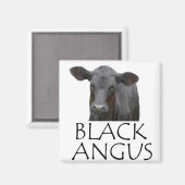 Schwarze Angus Kuh Magnet (Vorderseite/Rückseite)