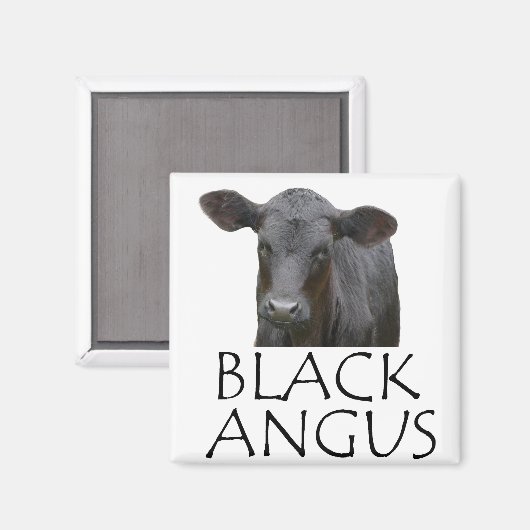 Schwarze Angus Kuh Magnet (Vorderseite/Rückseite)