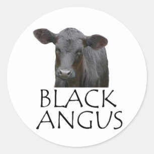 Schwarze Angus Kuh Runder Aufkleber