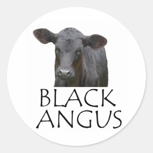 Schwarze Angus Kuh Runder Aufkleber (Vorderseite)