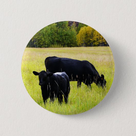 Schwarze Angus-Paare auf dem Gebiet Button (Vorderseite)