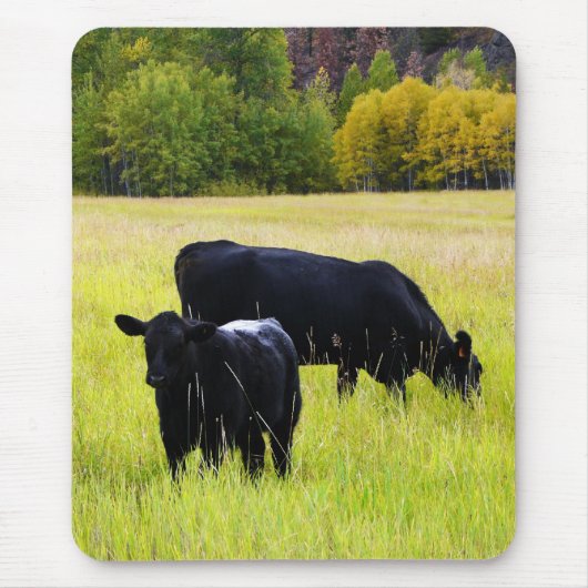 Schwarze Angus-Paare auf dem Gebiet Mousepad (Vorne)