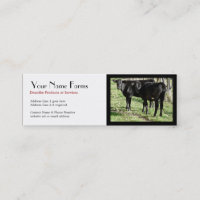 Schwarze Angus-Rinder-Ranch
