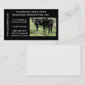Schwarze Angus-Vieh-Ranch Visitenkarte (Vorne/Hinten)