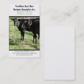 Schwarze Angus-Vieh-Ranch Visitenkarte (Vorne/Hinten)