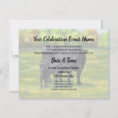 Schwarze Anguskühe und Niedliches Kalb im Sommerwe Einladung (Rückseite)