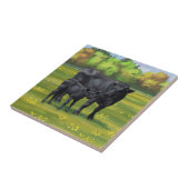 Schwarze Anguskühe und Niedliches Kalb im Sommerwe Fliese (Seite)