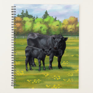 Schwarze Anguskühe und Niedliches Kalb im Sommerwe Planer