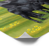 Schwarze Anguskühe und Niedliches Kalb im Sommerwe Poster (Ecke)