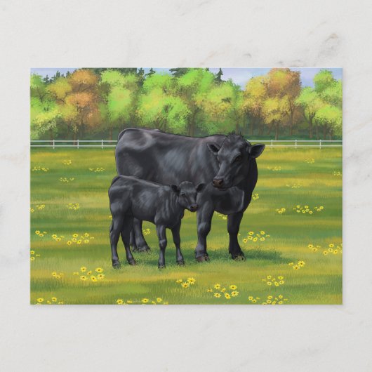 Schwarze Anguskühe und Niedliches Kalb im Sommerwe Postkarte (Vorderseite)