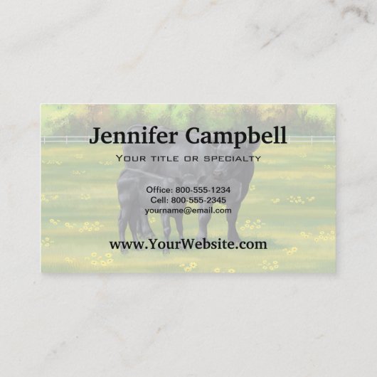 Schwarze Anguskühe und Niedliches Kalb im Sommerwe Visitenkarte (Rückseite)