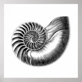Schwarze Antike Nautilus Wissenschaftliche Illustr Poster