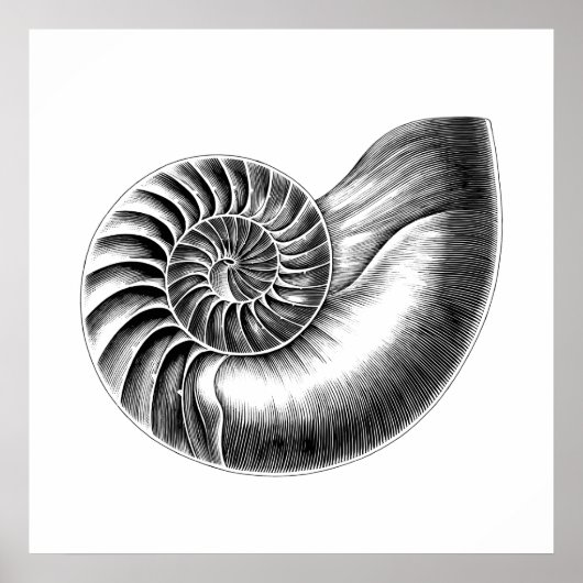 Schwarze Antike Nautilus Wissenschaftliche Illustr Poster (Vorne)