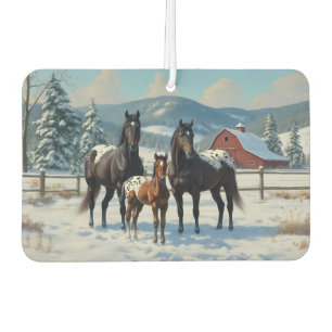 Schwarze Appaloosa Pferde auf einem Bauernhof im W Autolufterfrischer