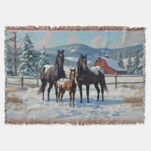 Schwarze Appaloosa Pferde auf einem Bauernhof im W Decke