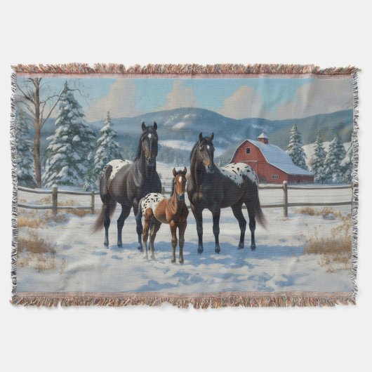 Schwarze Appaloosa Pferde auf einem Bauernhof im W Decke (Vorderseite)