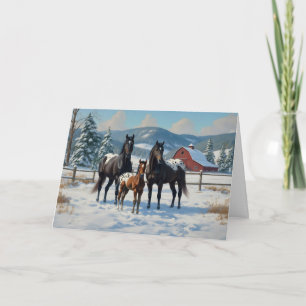 Schwarze Appaloosa Pferde auf einem Bauernhof im W Feiertagskarte