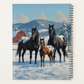 Schwarze Appaloosa Pferde auf einem Bauernhof im W Planer (Rückseite)