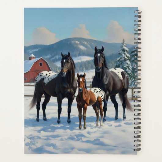 Schwarze Appaloosa Pferde auf einem Bauernhof im W Planer (Rückseite)