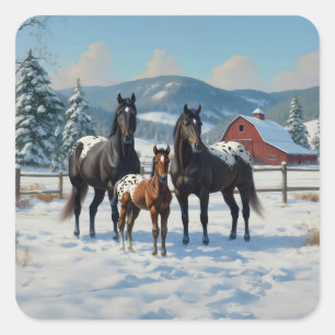 Schwarze Appaloosa Pferde auf einem Bauernhof im W Quadratischer Aufkleber