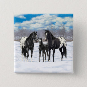 Schwarze Appaloosa Pferde im Schnee Button