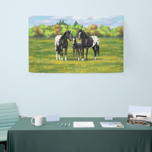 Schwarze Appaloosa Pferde im Sommer Weide Banner (Messeveranstaltung)