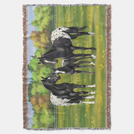 Schwarze Appaloosa Pferde im Sommer Weide Decke (Vorderseite Vertikal)