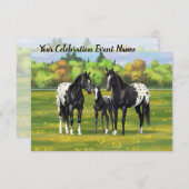 Schwarze Appaloosa Pferde im Sommer Weide Einladung (Vorne/Hinten)